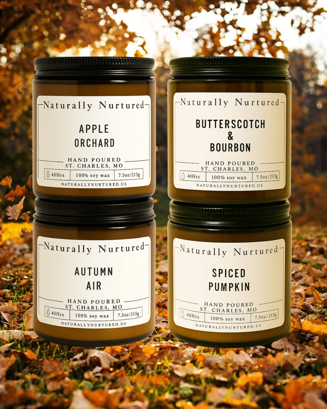 Fall Collection